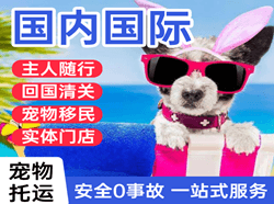 延吉航空空运国际宠物托运 【国